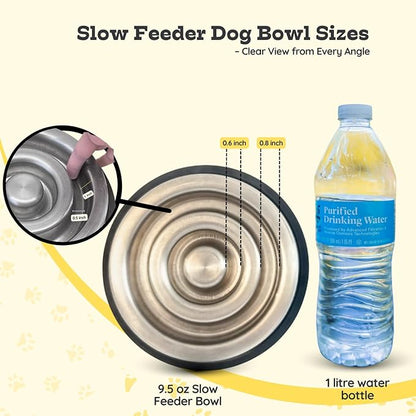 1.2 Cup (9.5 oz) Slow Feeder Dog Bowls, Shallow Spiral Style Stainless Steel Small Dog, Cat Dry, Wet Food Dishes Fast Eater Nonslip Heavy Feeding Puzzle Bowl, Slow Down Eating
