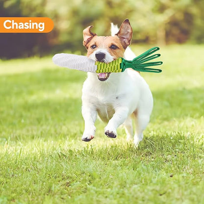 Dog Rope Toy 2PCS, Tug of War Dog Toy, Cute Carrot Dog Toy with Crinkle Paper Tags