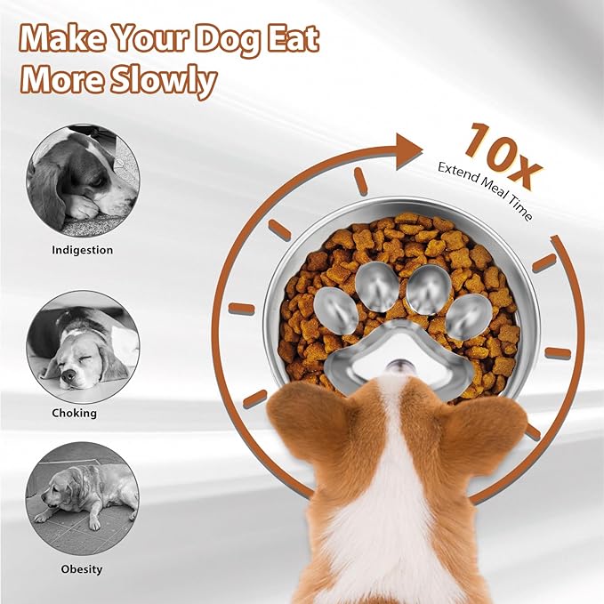 Metal Puppy Slow Feeder Bowl Stainless Steel Non-Slip Dog Food Bowls, Fun Bloat Stop Pet Bowls Dogs Water Bowl for Small & Medium Sized Dogs to Slow Down Eating (C)