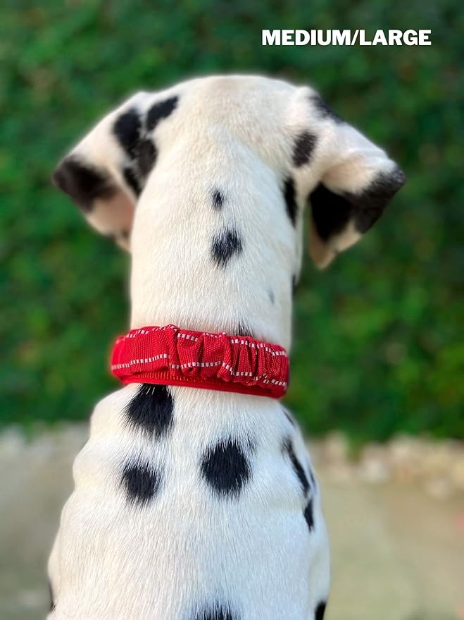 Tuff Pupper Heavy Duty Dog Collar with Handle | Ballistic Nylon Heavy Duty Collar | Padded Reflective Dog Collar with Adjustable Stainless Steel Hardware | Convenient Sizing for All Breeds
