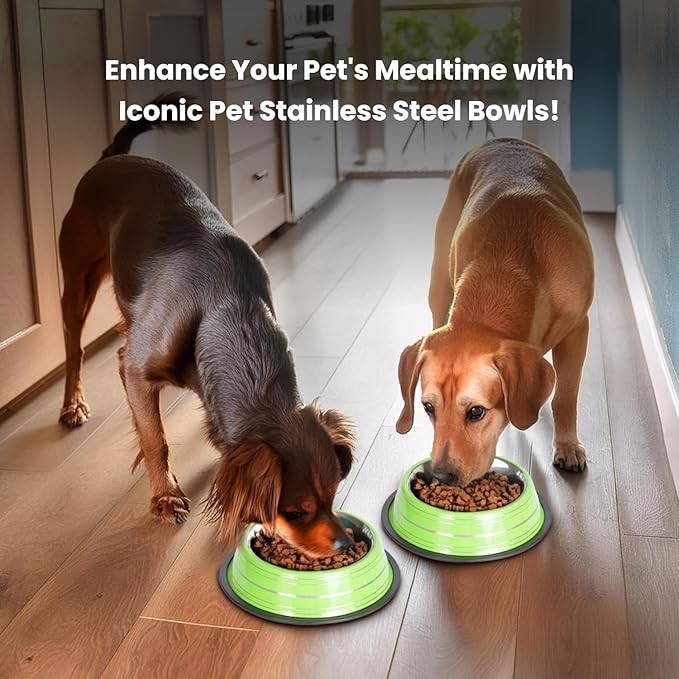 Iconic Pet 4 Cup/32 Oz Elegant Stainless Steel Color Splash Food/Water Bowl with Non Skid, Noise Free, Removable Rubber Ring - Dog/ Cat Feeding Bowl In color shade, Dishwasher Safe - Green, 2 Bowls