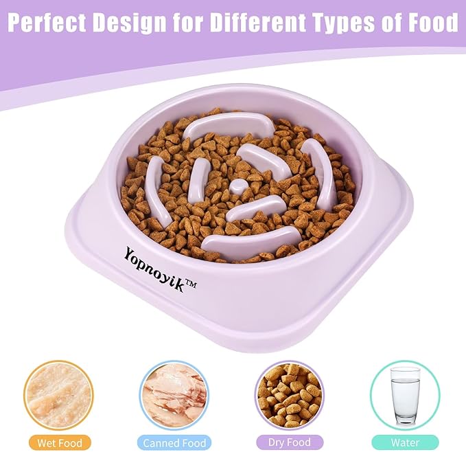 Slow Feeder Dog Bowls for Healthy Eating, Non-Slip and Anti-Choking Design, Reduces Bloating & Overeating for Medium Dogs and Cats, Easy to Clean
