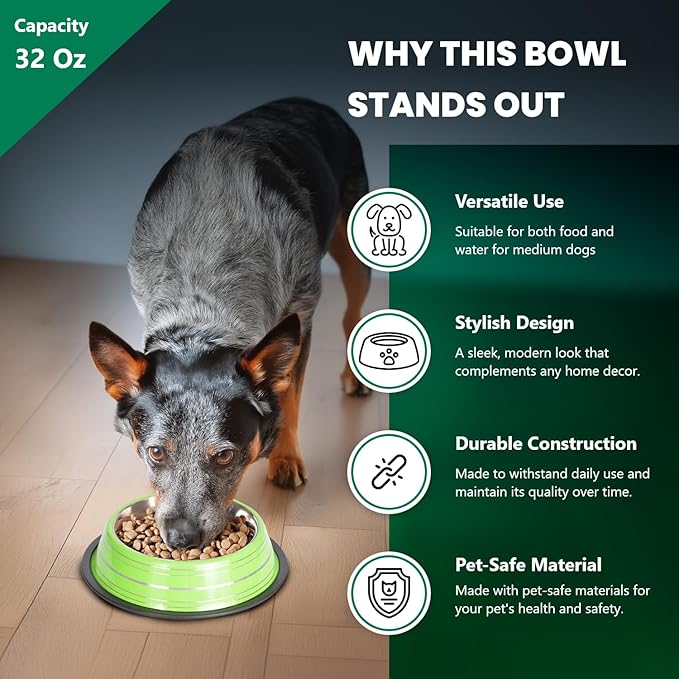 Iconic Pet Color Splash Stripe Non-Skid Stainless Steel Dog & Cat Bowl - Green, 32 Oz, 4 Cup, Durable, Easy to Clean, Anti-Slip Feeding Dish for Food & Water, Stylish Design for Dogs and Cats