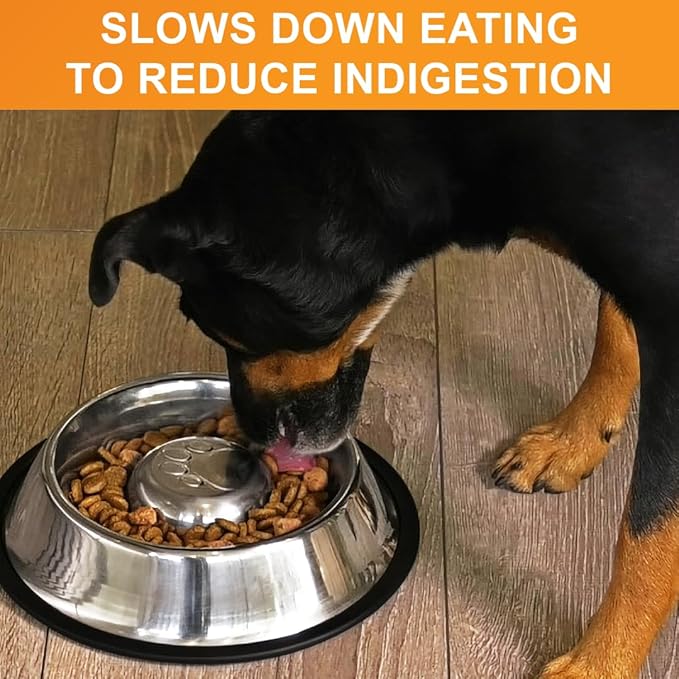 Neater Pet Brands Stainless Steel Slow Feed Bowl - Non-Tip & Non-Skid - Stops Dog Food Gulping, Bloat, Indigestion, and Rapid Eating (3 Cup)