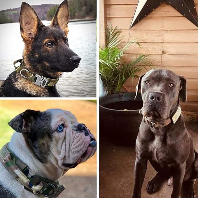 Xqpetlihai Tactical Dog Collar Adjustable Military Nylon Dog Collar with Control Handle and Heavy Duty Metal Buckle for Medium and Large Dogs (Camo,XL)