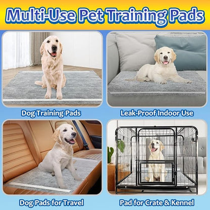 Charcoal Dog Training Pads 100 Count, 22"x22" Puppy Pee Pads for Small Dogs, Activated Carbon Dog Pee Pads, Disposable Puppy Pads Pet Training Pads