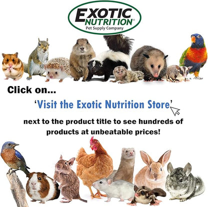 Exotic Nutrition Antler Chews - Safe Small Animal Chew - Natural Source of Healthy Minerals - Chinchilla, Hamster, Degu, Prairie Dog, Squirrel and Other Chewing Pets