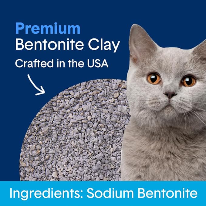 Boxie Unscented 30 Day Odor Control Clumping Clay Cat & Kitty Litter, 99.9% Dust-Free, Hard Flat Top Clumps, No Fragrances No Fillers, Long-Lasting, Easy to Scoop,16 lb (Pack of 2)