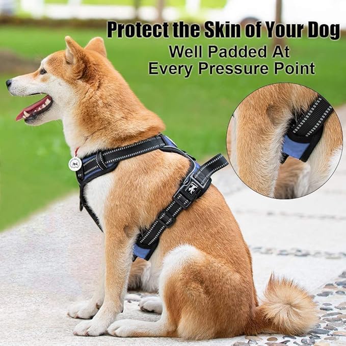 PoyPet No Pull Dog Harness, Reflective Comfortable Vest Harness with Front & Back 2 Leash Attachments and Easy Control Handle Adjustable Soft Padded Pet Vest for Small to Large Dogs (Light Blue,S)