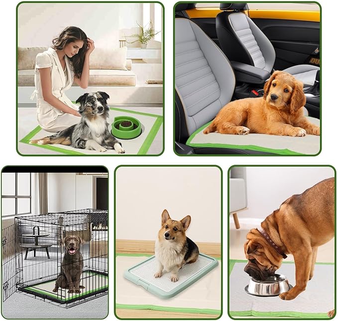 Gardner Pet Dog Pee Pads Rugular 21.7"x21.7", Thicker ECO Green Small Disposable Puppy Training Pads Super Absorbent Full Edge-Wrapping Pad for Dogs, Puppies, Doggies, Cats-(50 Count)