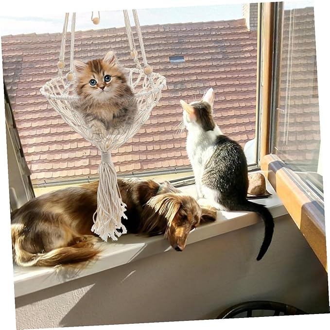 BESPORTBLE Bohemian Woven Hanging Cat Hammock Sturdy 40cm Cat Nest for 20-30lbs Pets Indoor Hanging Bed Household Supply