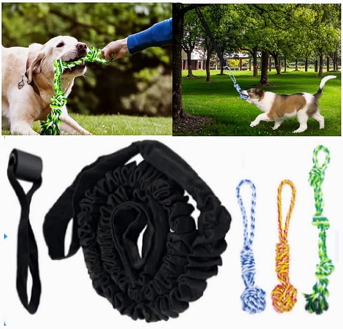 Spring Pole Dog Rope Toys, Tree Bungee Hanging Dogs Toy Interactive Tether Tug Indoor Outdoor Exercise Chewer Ropes Dog Toys, Pull Tug Solo Play Rope for Medium Large Dog