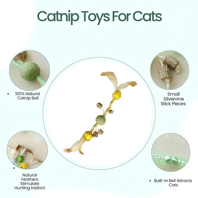 5 Pcs Catnip Toys for Cats, Silvervine Interactive Cat Toy Set with Squeaker & Feathers, Natural Organic Catnip Dental Chew Toys for Kitten Teething, Boredom & Anxiety Relief Plush Set