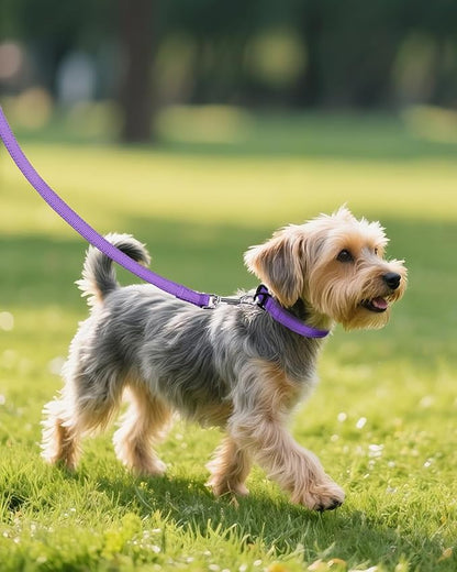 Joytale Small Dog Collar, Durable Double-Sided Reflective Nylon Collar for Night Safety, Adjustable Quick-Release for Active Breeds, Purple, S (3/4" Width)