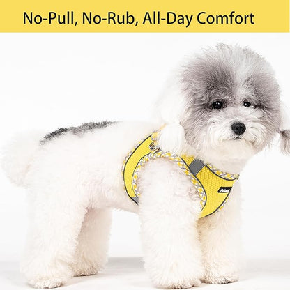 Petank Dog Harness for Small Medium Dogs No Pull, Puppy Harness and Leash Set for Walking, Running, Training, Small Dog Harness, Medium Dog Harness (Yellow, S)