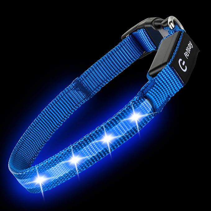 LED Dog Collar for XSmall Dogs & Toy Breeds – USB-C Rechargeable Light Up Dog Collar, Fully Waterproof Adjustable Glow Collar for Night Walking & Safety(Blue,XS)