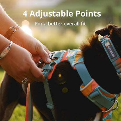 Ruffwear, Front Range Dog Harness, Reflective Soft Padded Everyday Harness with Dual Leash Clips, Adjustable and Lightweight Fit for Training or Walking for All Dogs, Moonlight Mountains, XX-Small