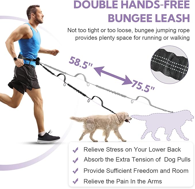 Hands Free Dog Leash, Shcok Abosoring Bungee with Double Padded Handles, Waist Leash for Dog Walking, with Bungee for Medium & Large Dog, Black Purple