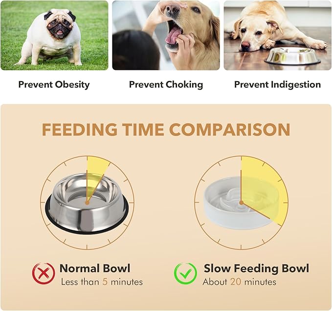 Ceramic 0.9 Cup Raised Slow Feeder Dog Bowl Set, Elevated 6.1inch Water Bowl and 6.1inch Slow Dish with Acacia Wood Stand for Small Dogs (2 x Reactived Glaze -White+ Stand)