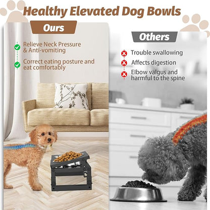 Dog Bowls Elevated Small, 3 Height(4.2" to 6") & Angle (0-20°) Adjustable Raised Dog Bowl Stand, Elevated Dogs Bowl Stand Pet, Sturdy Metal Dogs Feeding Station with 2X 20oz (2.5cup) Dishes