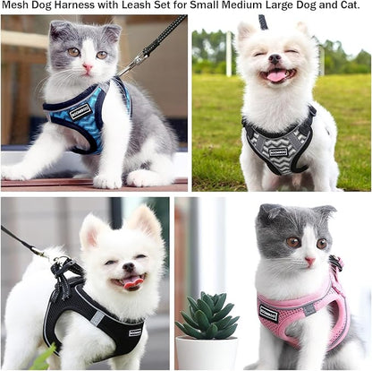 Dog Harness with Leash Set, No Pull Adjustable Reflective Step-in Puppy Pet Vest Harnesses for Small Medium Large Dogs and Cats,Red L