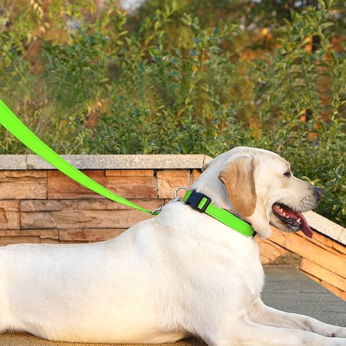 Dog Leash 6 FT Padded Handle Nylon Reflective Dogs Leashes for Large Dogs Green