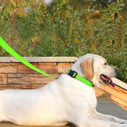 Dog Leash 6 FT Padded Handle Nylon Reflective Dogs Leashes for Large Dogs Green