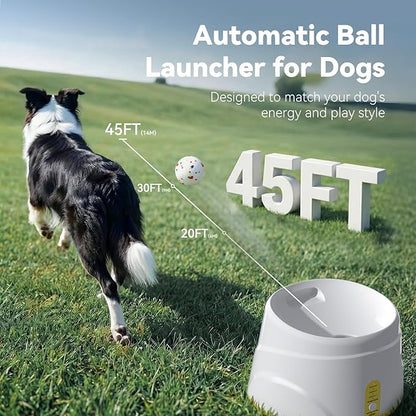 HETOO Automatic Ball Launcher for Dogs: Ball Launcher for Dogs - Tennis Thrower for Dogs with 6 Balls- Interactive Mental Stimulation Dog Toys - Small/Medium Sized Launcher- Yellow