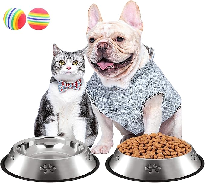 CAQ Dog Cat Bowls Stainless Steel Small Cat Dog Food Water Bowl for Indoor Stackable Pets Puppy Dish Non-Slip Removable Rubber Base Set of 2