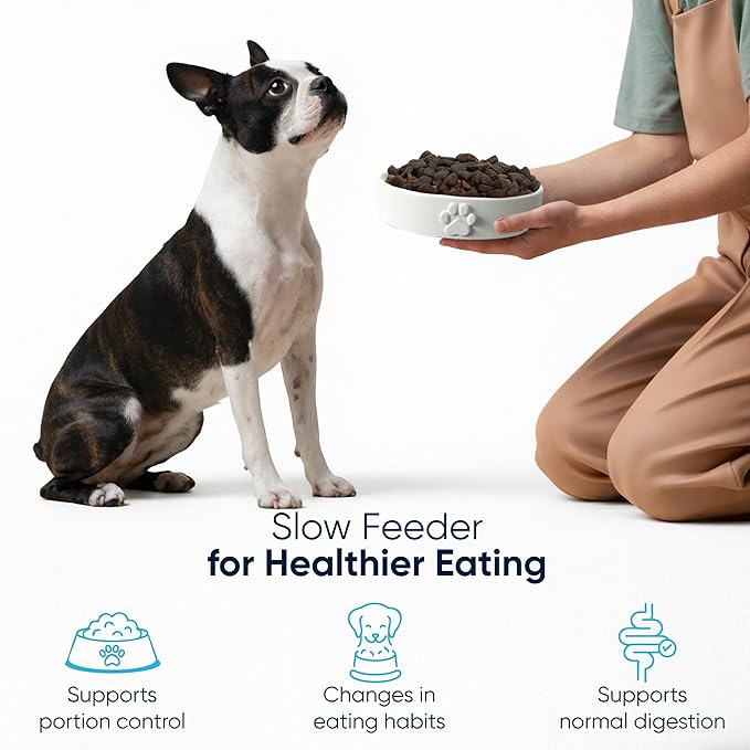 Slow Feeder Dog Bowls – Dog Bowl Slow Feeder – Microwaveable Dog Slow Feeder for All Breeds – Lead and BPA-Free Ceramic Pet Bowl – Pet Feeder for Fast Eaters