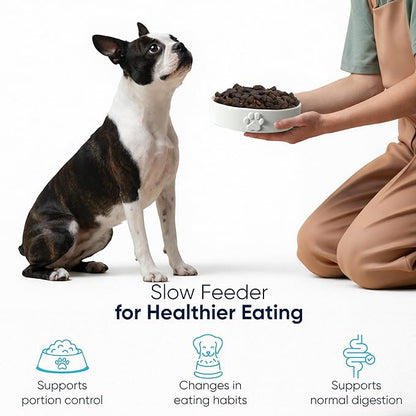 Slow Feeder Dog Bowls – Dog Bowl Slow Feeder – Microwaveable Dog Slow Feeder for All Breeds – Lead and BPA-Free Ceramic Pet Bowl – Pet Feeder for Fast Eaters