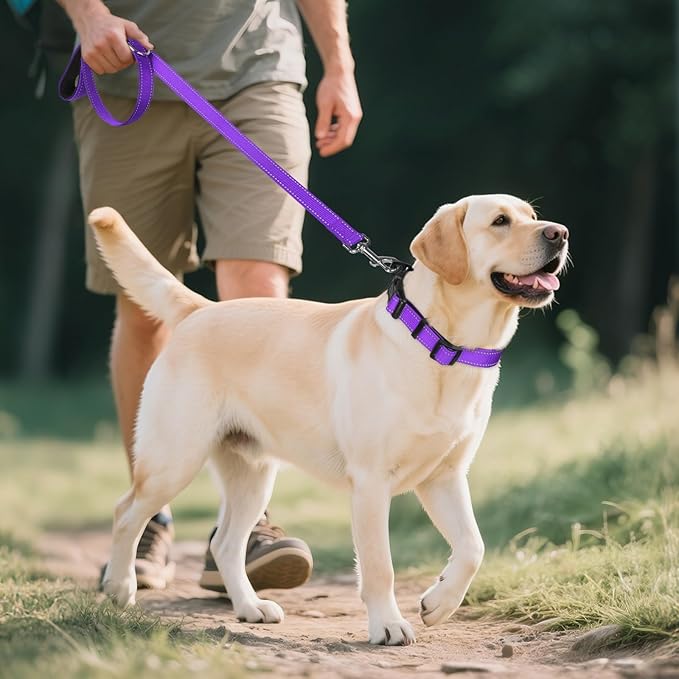 Joytale Reflective Dog Collar, Soft Neoprene Padded, Metal D-Ring, Nylon Pet Collar Adjustable for Extra Large Dogs, Purple, XL