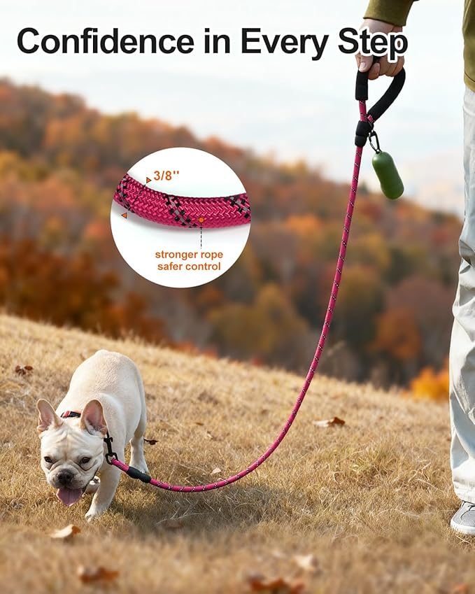 Joytale Dog Leash for Small Dogs, Heavy Duty Nylon Leashes with Comfortable Padded Handle and Highly Reflective Threads, Ideal for Walking and Training, Hotpink, 6'×3/8''