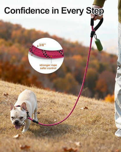Joytale Dog Leash for Small Dogs, Heavy Duty Nylon Leashes with Comfortable Padded Handle and Highly Reflective Threads, Ideal for Walking and Training, Hotpink, 6'×3/8''