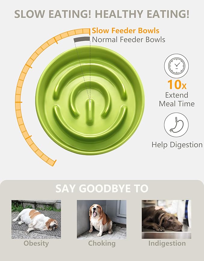 Ceramic Slow Feeder Dog Bowls, 0.6 Cup Slow Feeder for Small Dogs, Puzzle Maze Bowl, Prevents Choking, 6in, Green