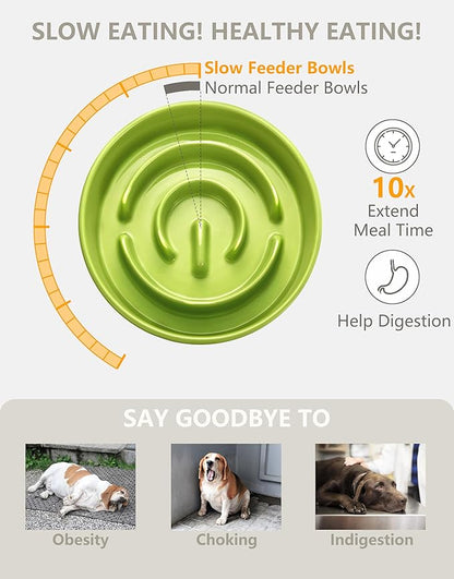 Ceramic Slow Feeder Dog Bowls, 0.6 Cup Slow Feeder for Small Dogs, Puzzle Maze Bowl, Prevents Choking, 6in, Green