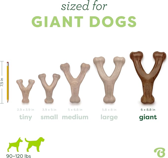 Benebone Wishbone Durable Dog Chew Toy for Aggressive Chewers, Made in USA, Giant, Real Bacon Flavor