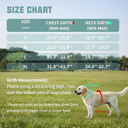 AUROTH Dog Harness and Leash Set, Soft Padded Service Dog Vest with 5.25FT Dog Leash, No Choke, Easy On Pet Vest, Adjustable Reflective No Pull Dog Harness Small Sized Dog, Easy Walking and Training
