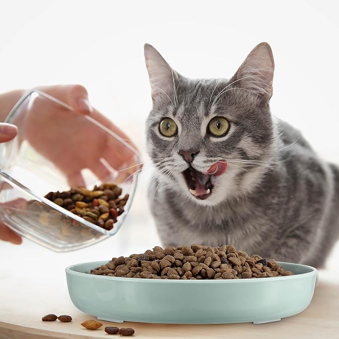 Nitial 2 Pcs Cat Slow Feeder Bowl Fish Pool Design Feeder Dish Fun Interactive Cat Food Bowl Healthy Eating Diet Bowls for Pet Puppy Dogs Dishwasher Safe(Green, Pink)
