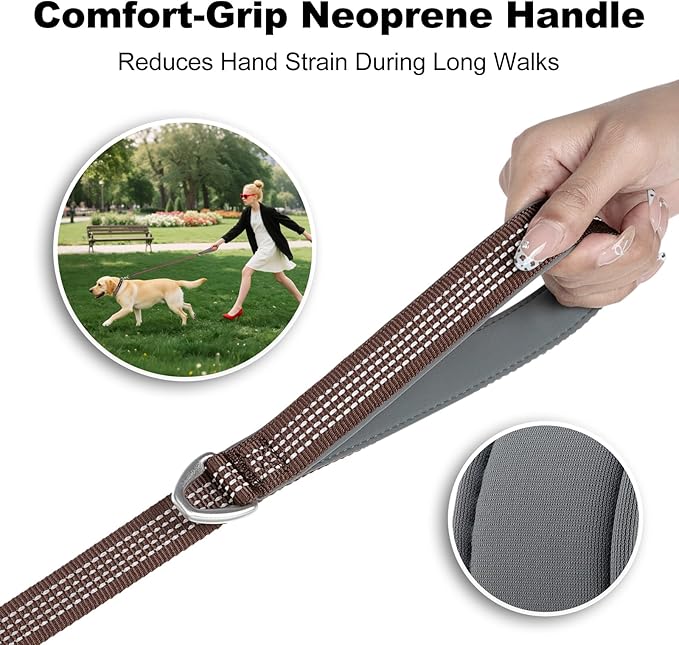 Plutus Pet Heavy Duty Dog Leash with Lockable Aluminum Carabiner, 4/6 Feet Long, Double-Sided Reflective Nylon, Padded Handle, for Puppy, Small, Medium and Large Dogs (Chocolate, 4/5" x 4')