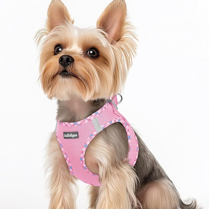 rabbitgoo Small Dog Harness, Step-in Soft Mesh Puppy Vest with Safety Buckle, Breathable Reflective Pet Harness for Small Sized Dogs, Pink & Plaid Trim XS