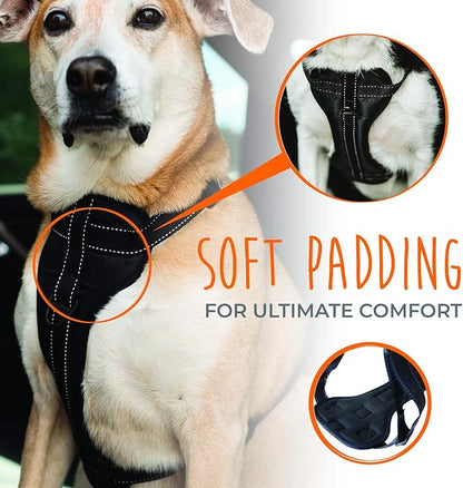 Mighty Paw Dog Car Harness - Vehicle Safety Gear - 2 Leash Attachment - Adjustable Straps - Reflective Stitching - Soft Padding - Standard Harness Functionality - No Pull Front Leash Attachment - L
