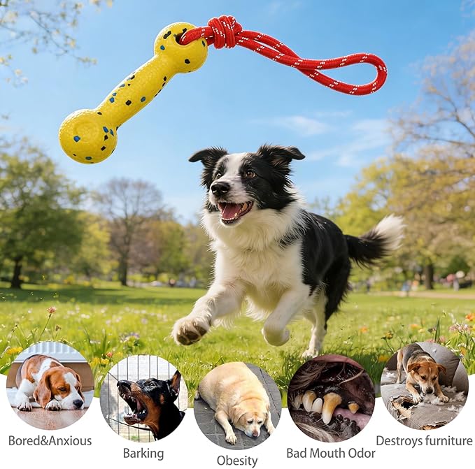KOOLTAIL Floating Dog Pool Toys, Tough Interactive Water Fetch Bumpers with Durable Rope for Small Medium Large Dogs, 2 Pack Bright Dog Chew Toys Summer Outdoor Training Teething, Yellow&Blue