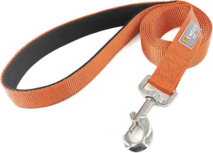 Basic Dog Leashes 6 FT Padded Handle Nylon Dogs Leashes for Small Dogs Orange