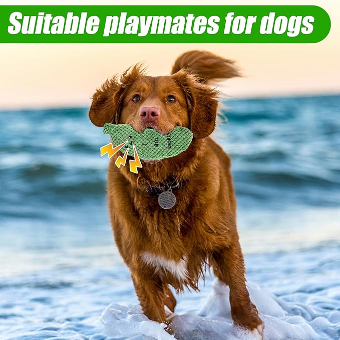 Pickle Squeaky Dog Toy, Funny Durable Dog Squeaky Toys for Aggressive Chewers Cute Plush Stuffed Pickle Toy Chewy Dog Toys for Small/Medium/Large Weed Dog Exercise and Accompany