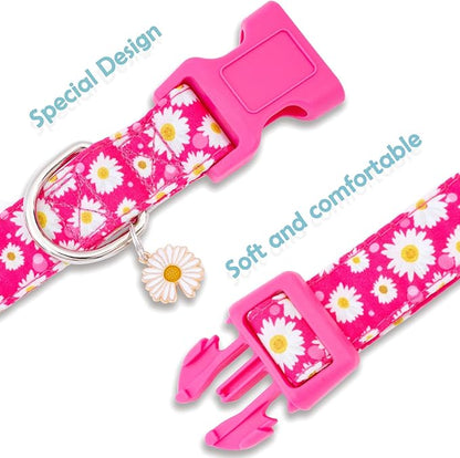 Faygarsle Cotton Dog Collar Cute Dog Collars for Small Medium Large Dogs Hot Pink Floral Colored Options Soft and Fancy Pet Collars for Girls Flower Pattern for Girl Dog Collar XS