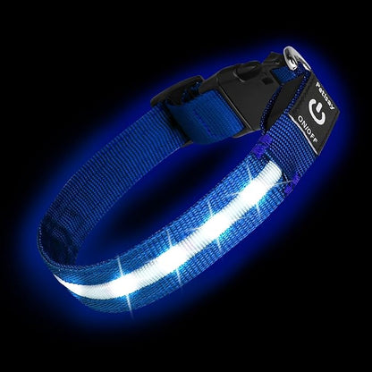 PetIsay Light Up Collar - High Visibility & Durable Nylon Material - USB C Rechargeable & Waterproof LED Dog Collar for Night Walking, Glow in The Dark Flashing (Blue, Medium)