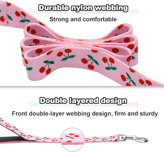 4ft Dog Leash with Two Padded Handles, Heavy Duty Strong Nylon Pet Leash with Soft Neoprene Handle for Small Medium Large Dogs, Cherry