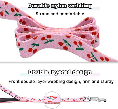 5ft Dog Leash with Two Padded Handles, Heavy Duty Strong Nylon Pet Leash with Soft Neoprene Handle for Small Medium Large Dogs, Cherry