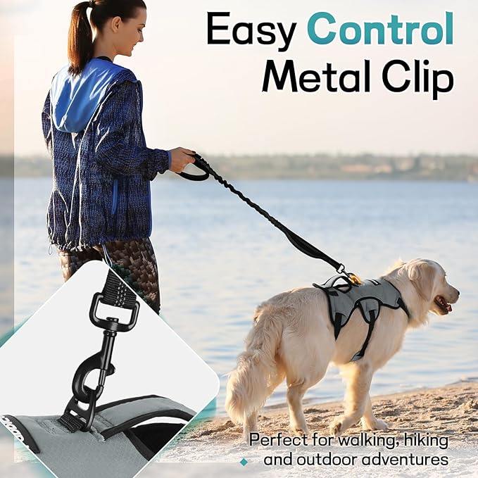 rabbitgoo Escape Proof Dog Harness, Soft Padded Full Body Pet Harness, Reflective Adjustable No Pull Vest with Lift Handle and Leash Clip for Large Dogs Walking Hiking Training, XL, Grey